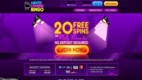 Lights camera bingo casino bonus